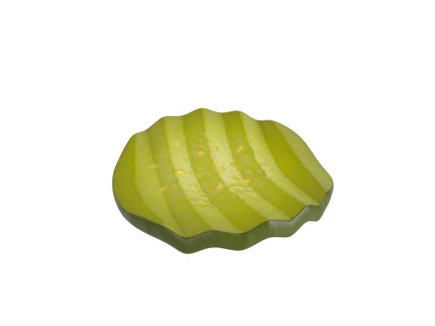 Pickle Slice 3D Model