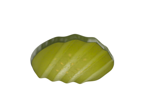 Pickle Slice Modelo 3D