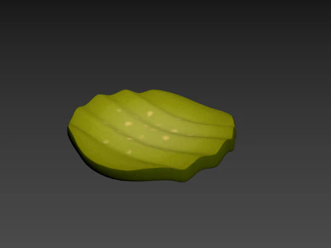 Pickle Slice 3D Model