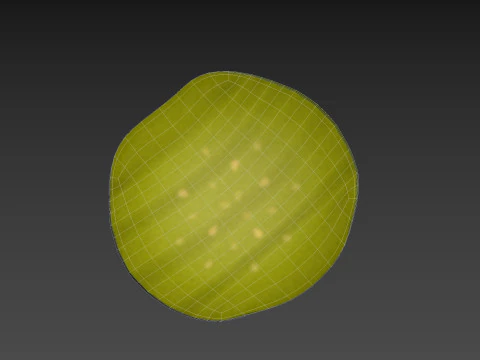 Pickle Slice 3D Model