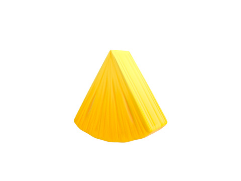 Pineapple Slice 3D Model