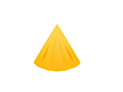 Pineapple Slice 3D Модель