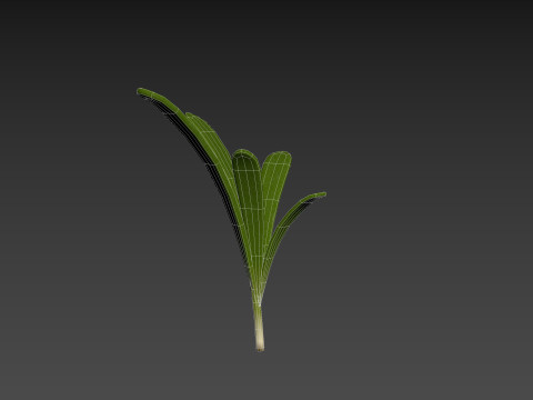 Rosemary 3D Model