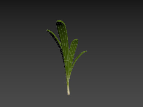 Rosemary 3D Model