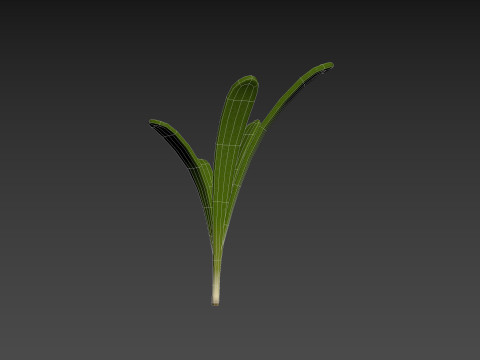 Rosemary 3D Model