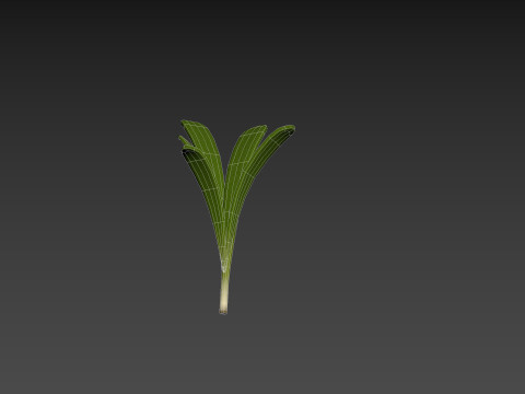 Rosemary 3D Model