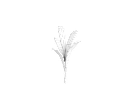 Rosemary 3D Model