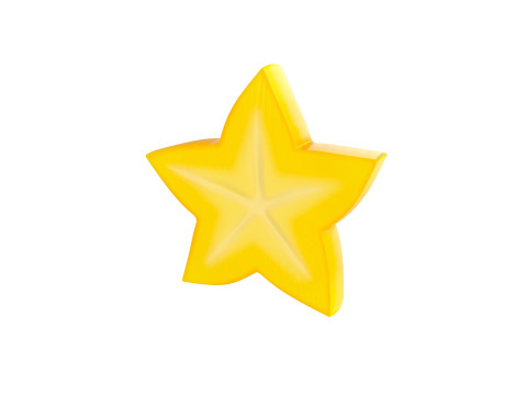 Star Fruit Slice 3D Model