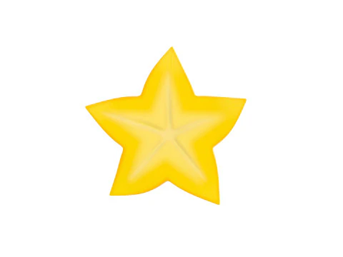 Star Fruit Slice 3D Model