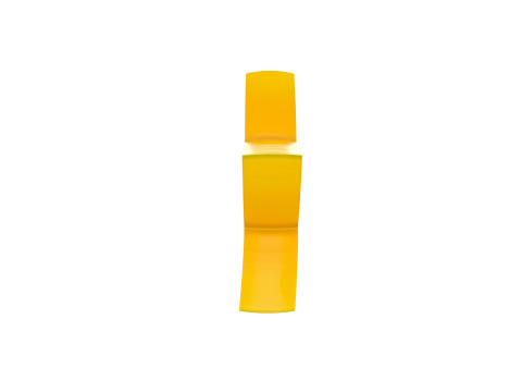 Star Fruit Slice 3Dモデル