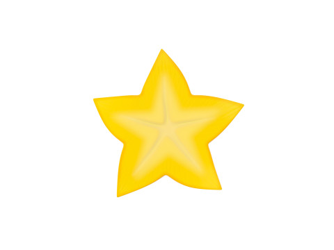 Star Fruit Slice 3Dモデル