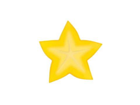 Star Fruit Slice 3D Model