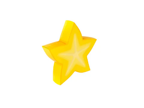 Star Fruit Slice 3D Model