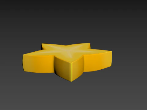 Star Fruit Slice 3D Model