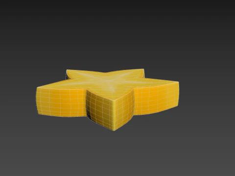 Star Fruit Slice 3D Model