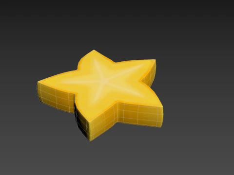 Star Fruit Slice 3D Model