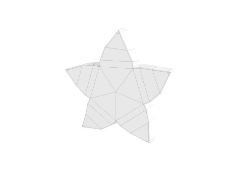 Star Fruit Slice 3D Model