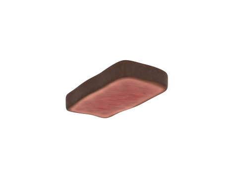 Steak Slice Model 3D