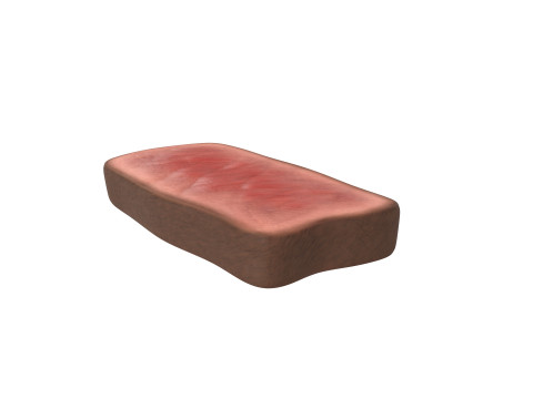Steak Slice Model 3D