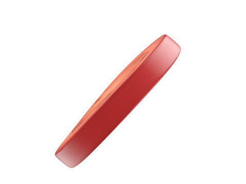 Tomato Slice 3D मॉडल