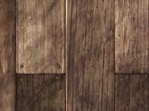 10 wooden board seamless textures CG Textures
