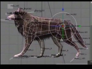 wolf Model 3D