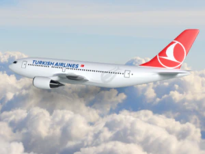 turkish airlines 3D Model