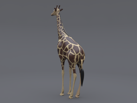 Giraffe Modèle 3D