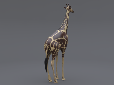 Giraffe Modello 3D