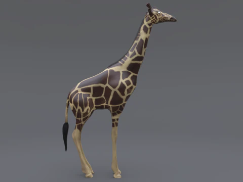 Giraffe 3D Model