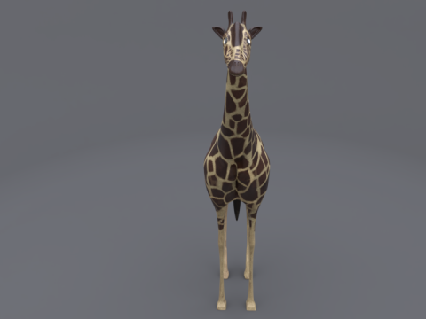 Giraffe Modello 3D