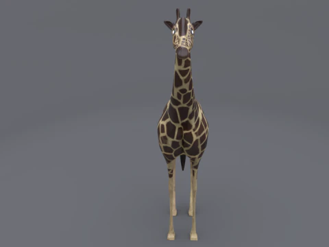 Giraffe 3D Model