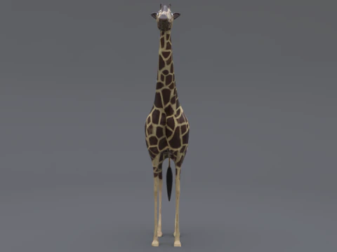 Giraffe 3D Model