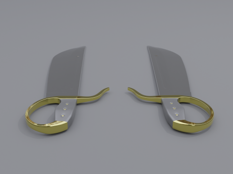 Wingchun butterfly sword 3D Model