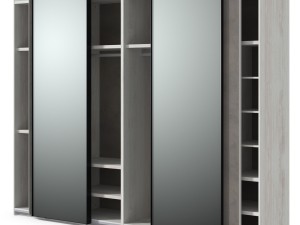 closet with mirror Model 3D