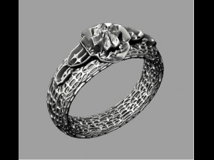 fashion ring grid 3D Baskı Modeli