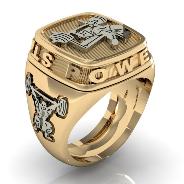 mans ring power strength gym 3D 프린트 모델 .c4d .max .obj .3ds .fbx .stl .blend 