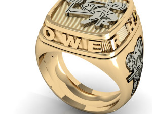 mans ring power strength gym 3D 프린트 모델
