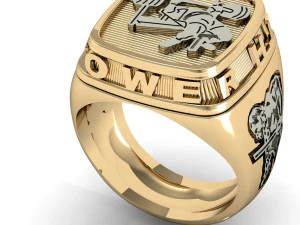 mans ring power strength gym 3D Print Model