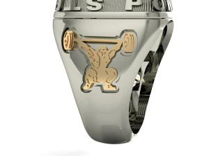 mans ring power strength gym 3D Print Model