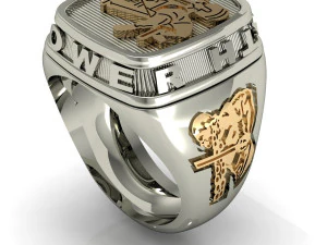 mans ring power strength gym 3D Print Model