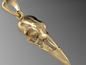 raven skull 3D Print Model