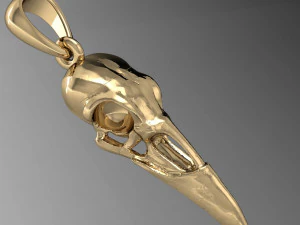 cr&acirc;nio de corvo Modelo de Impressão 3D