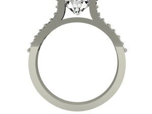 engagement ring 3D Print Model