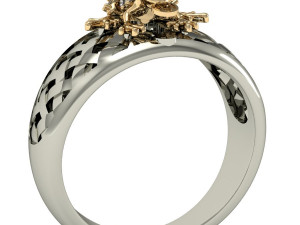 ring frog with a coin 3D 프린트 모델