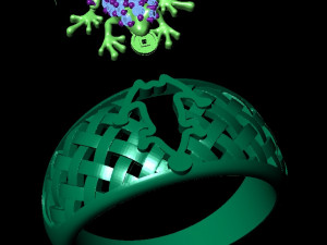 ring frog with a coin 3D 프린트 모델
