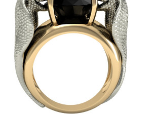 ring two snakes 3D 打印模型