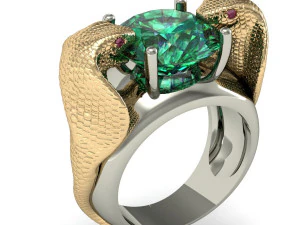 ring two snakes 3D Print Model