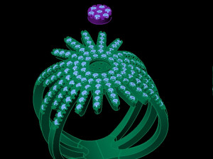 star ring 3D 打印模型