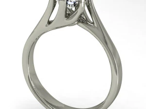 engagement ring 3D Print Model